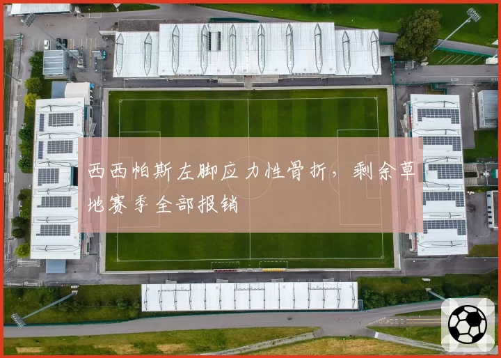 西西帕斯左脚应力性骨折，剩余草地赛季全部报销
