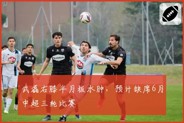 武磊右膝半月板水肿，预计缺席6月中超三轮比赛