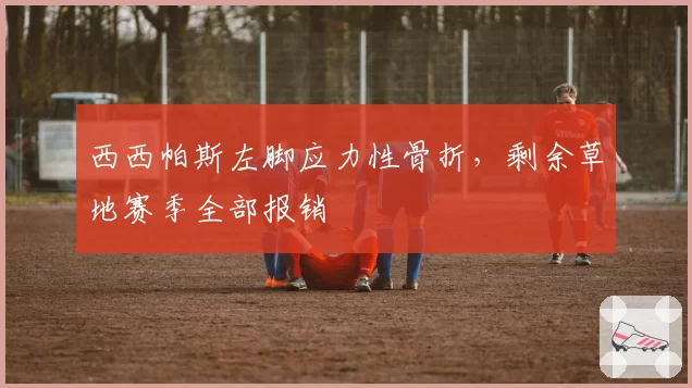 西西帕斯左脚应力性骨折，剩余草地赛季全部报销
